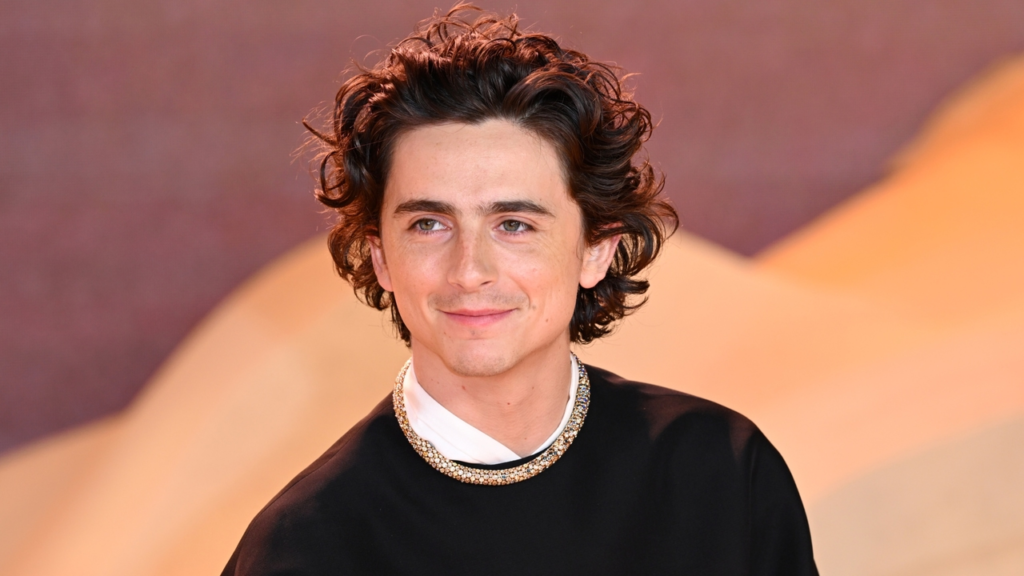 Inside Timothée Chalamet’s 30th Birthday: The Low-Key Bash With a Very High-Watt Guest List